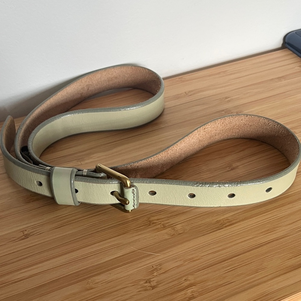 Fossil Leather Belt in Pale Green with Gold Buckle